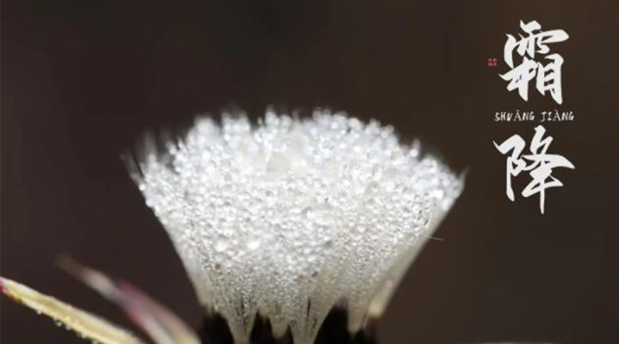 霜降時節！金環電器提醒大家要注意的事項