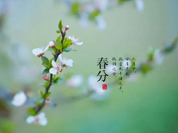 金環電器