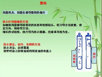 信息咨詢服務 為企業(yè)與個人提供專業(yè)解決方案