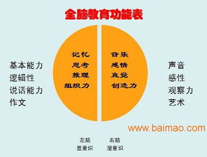 山東臨沂與臨沭全腦開發(fā)服務 可靠提供商、廠家與價格咨詢指南